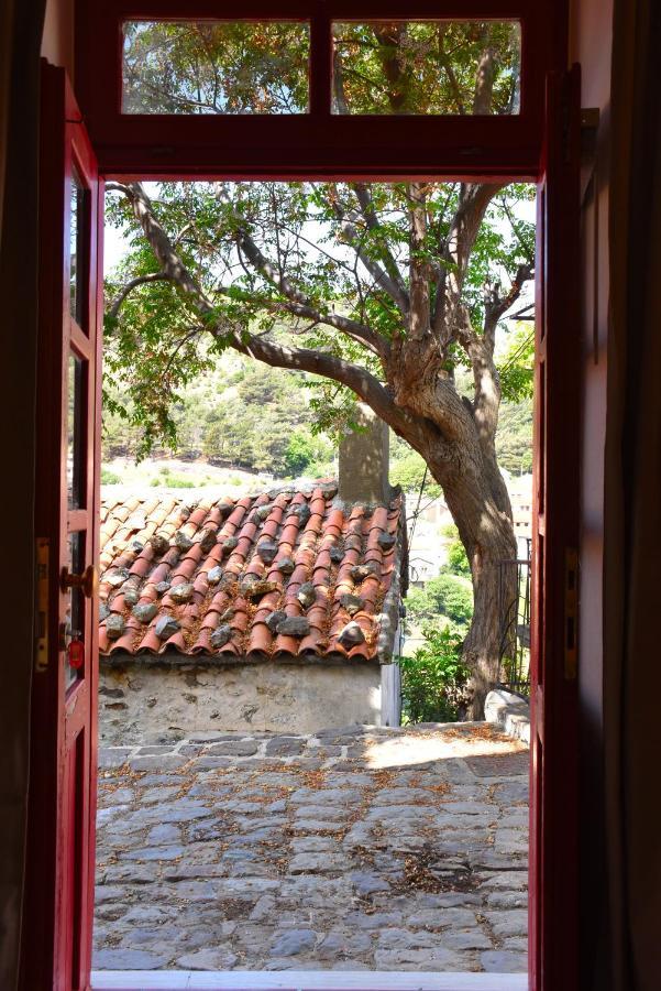 The Art Apartment Samothraki