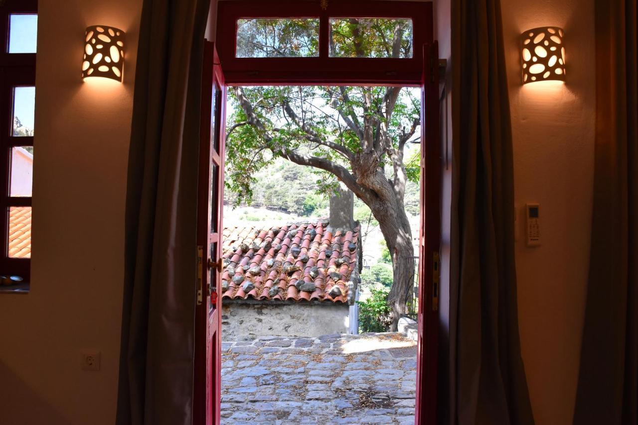 The Art Samothraki
